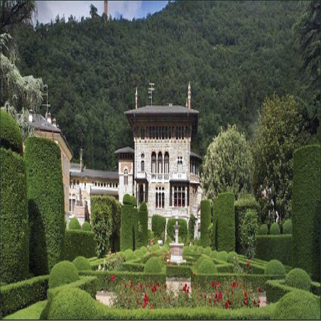 The Beauty of Beretta